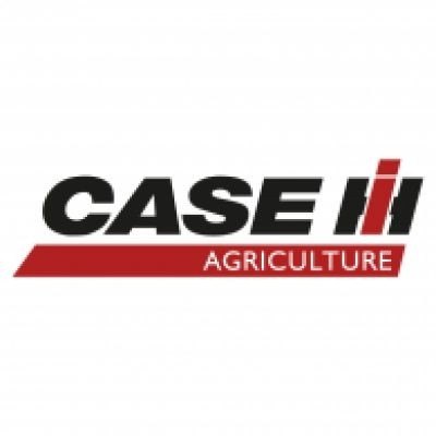Logo CASE